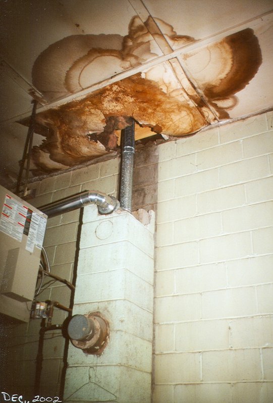 scan0044.jpg - Extensive water damage and an insufficient furnace.